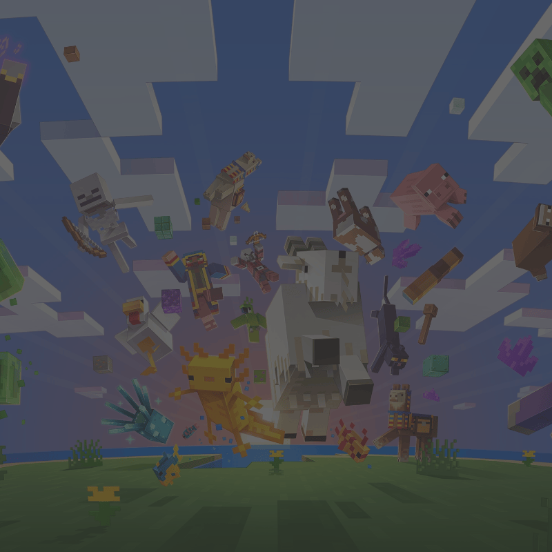 动物天堂，MC蹦床教程-方块工坊