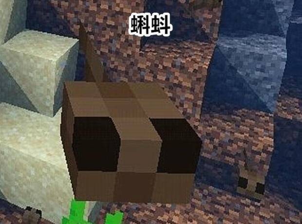 我的世界蝌蚪在哪里-方块工坊