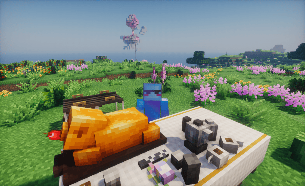 00b719794620260114162252