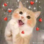 贫困大小姐的头像-方块工坊